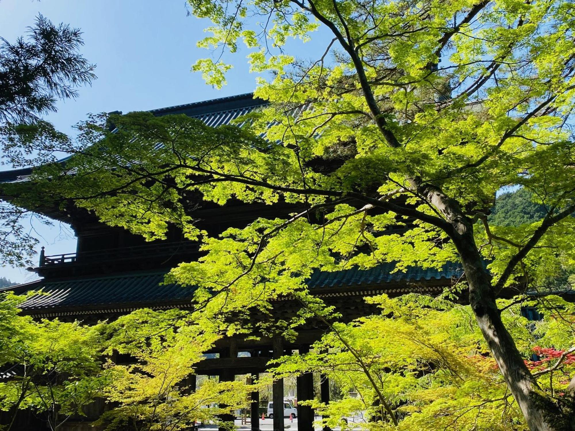 Minobu Ryokan Tanakaya מראה חיצוני תמונה