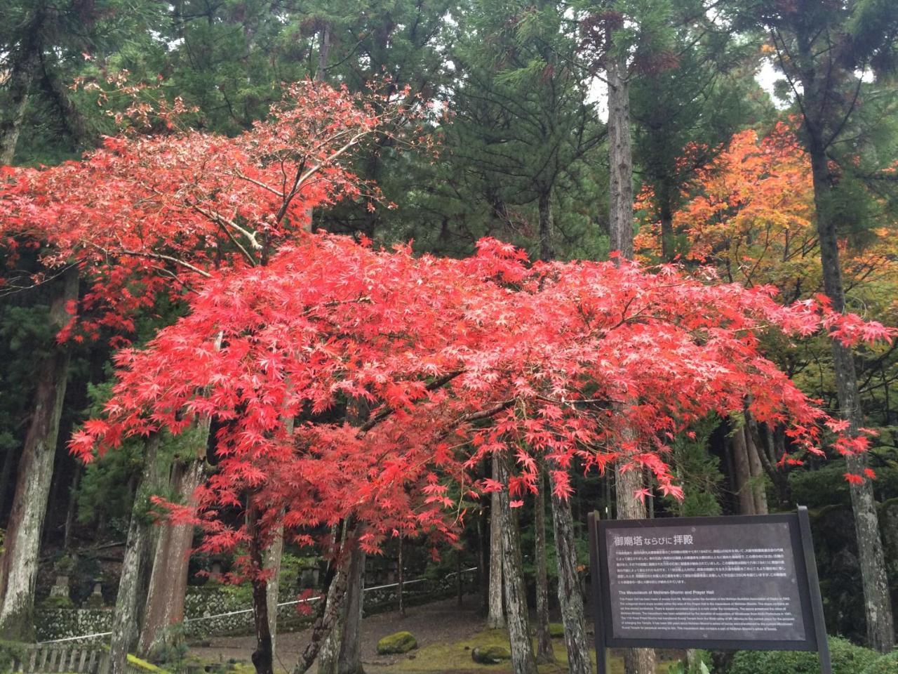 Minobu Ryokan Tanakaya מראה חיצוני תמונה